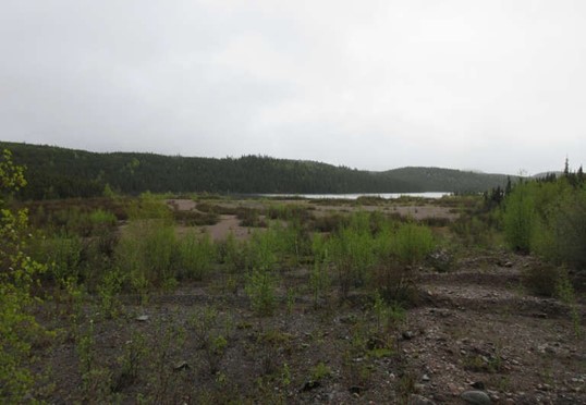 Figure 12.2: Beaverlodge Project – Fookes tailings cover, June 2019