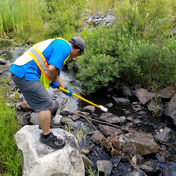 Surrounded by shrubs, an employee stands on a large rock and reaches
into a shallow rocky creek to get a sample.