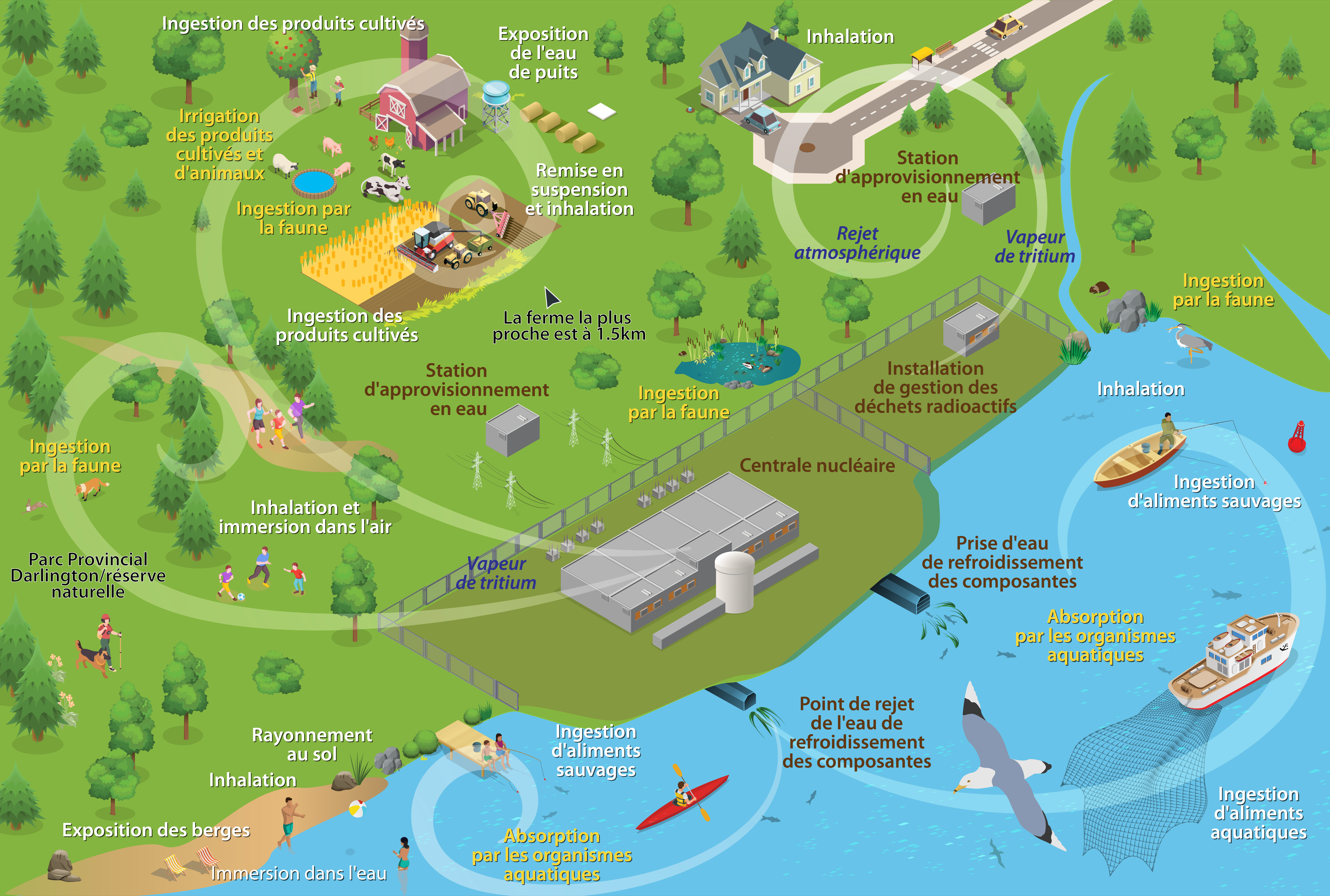 Voies d'exposition conceptuelles pour les rejets atmosphériques et aquatiques dans l'environnement à partir du site DN