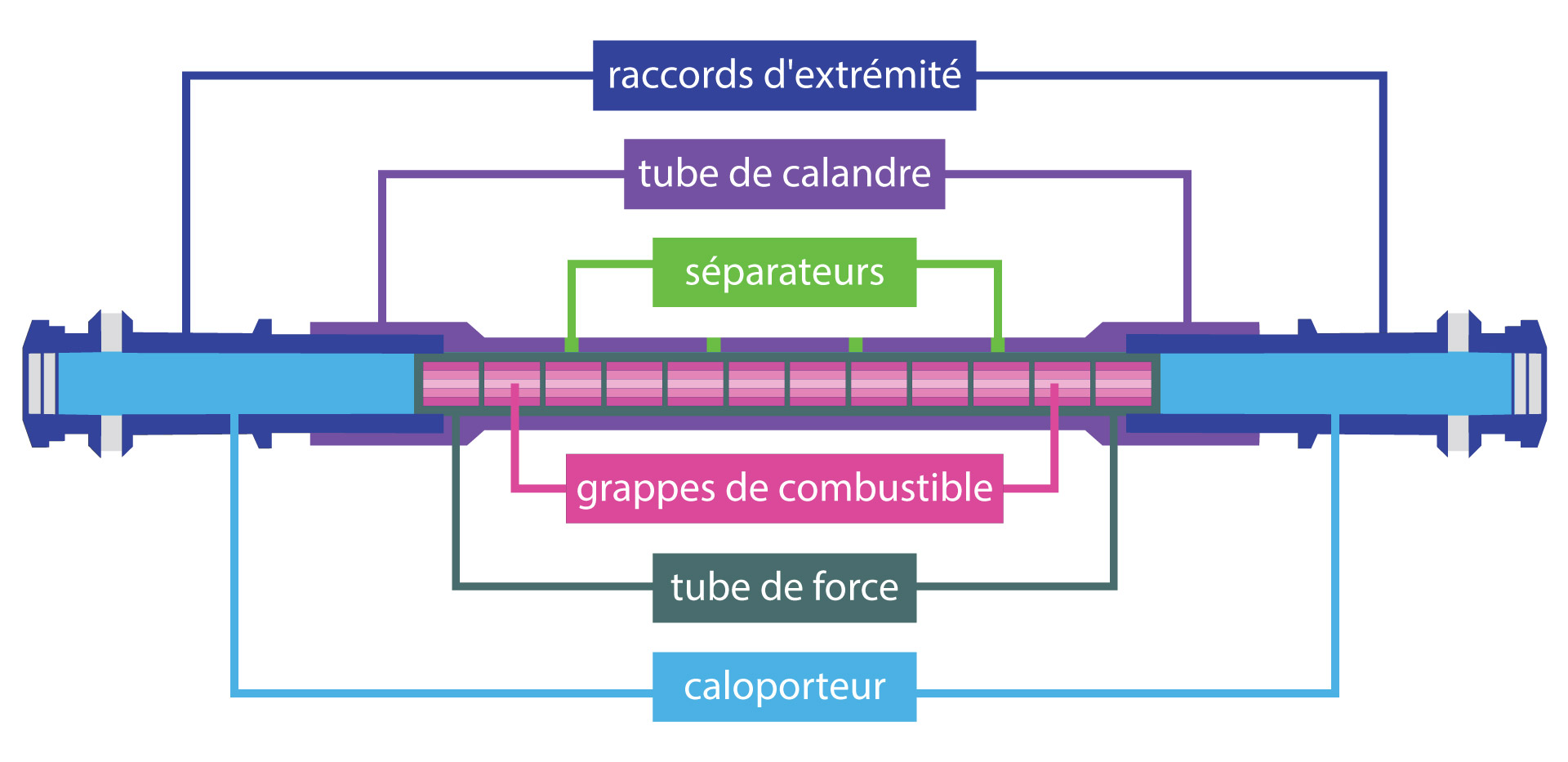 À l’intérieur de chaque réacteur nucléaire CANDU au Canada se trouvent plusieurs centaines de canaux de combustible. Chaque canal de combustible est constitué de différentes parties. À chaque extrémité des tubes de force se trouvent les raccords d’extrémité. Les tubes de force contiennent les grappes de combustible qui servent à produire de la chaleur, ainsi que le caloporteur. À l’extérieur du tube de force se trouve le tube de calandre qui est séparé du tube de force par de nombreux séparateurs.
