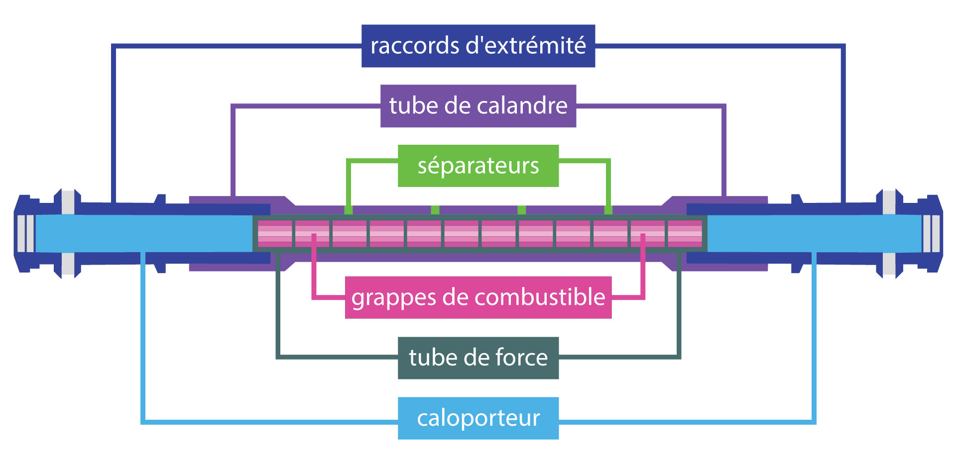 À l’intérieur de chaque réacteur nucléaire CANDU au Canada se trouvent plusieurs centaines de canaux de combustible. Chaque canal de combustible est constitué de différentes parties. À chaque extrémité des tubes de force se trouvent les raccords d’extrémité. Les tubes de force contiennent les grappes de combustible qui servent à produire de la chaleur, ainsi que le caloporteur. À l’extérieur du tube de force se trouve le tube de calandre qui est séparé du tube de force par de nombreux séparateurs.