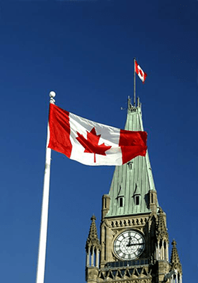 Parliament Flag