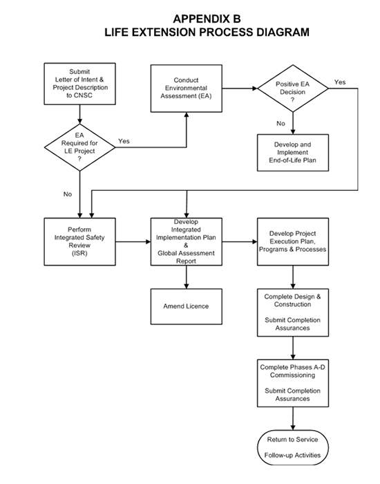 Appendix B: Life Extension Process Diagram