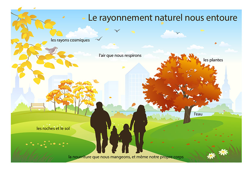 Cette image montre une famille se promenant à l’extérieur et des exemples de diverses sources de rayonnement de fond naturel provenant de l’air, des plantes, des rayons cosmiques, des roches et du sol, de l’eau, de la nourriture et de notre propre corps.