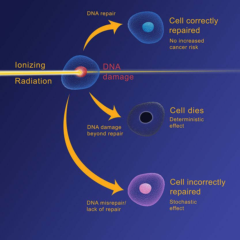 Cell Damage