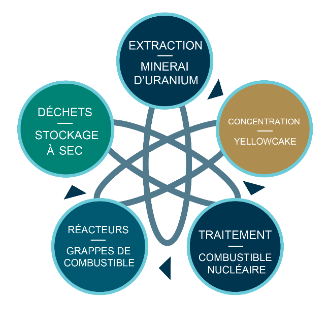 Le cycle du combustible nucléaire : Extraction (minerai d’uranium), Concentration (yellowcake), traitement (combustible nucléaire), Réacteurs (grappes de combustible), Déchets (stockage à sec)