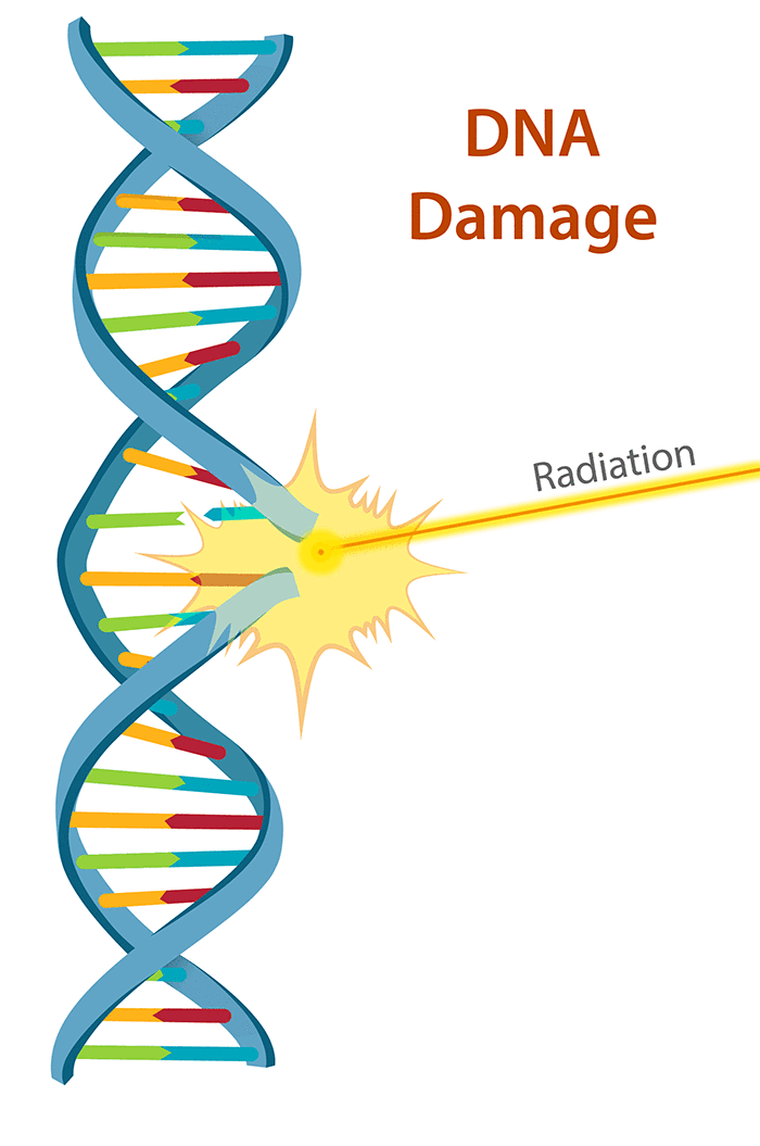 Radiation Health Effects