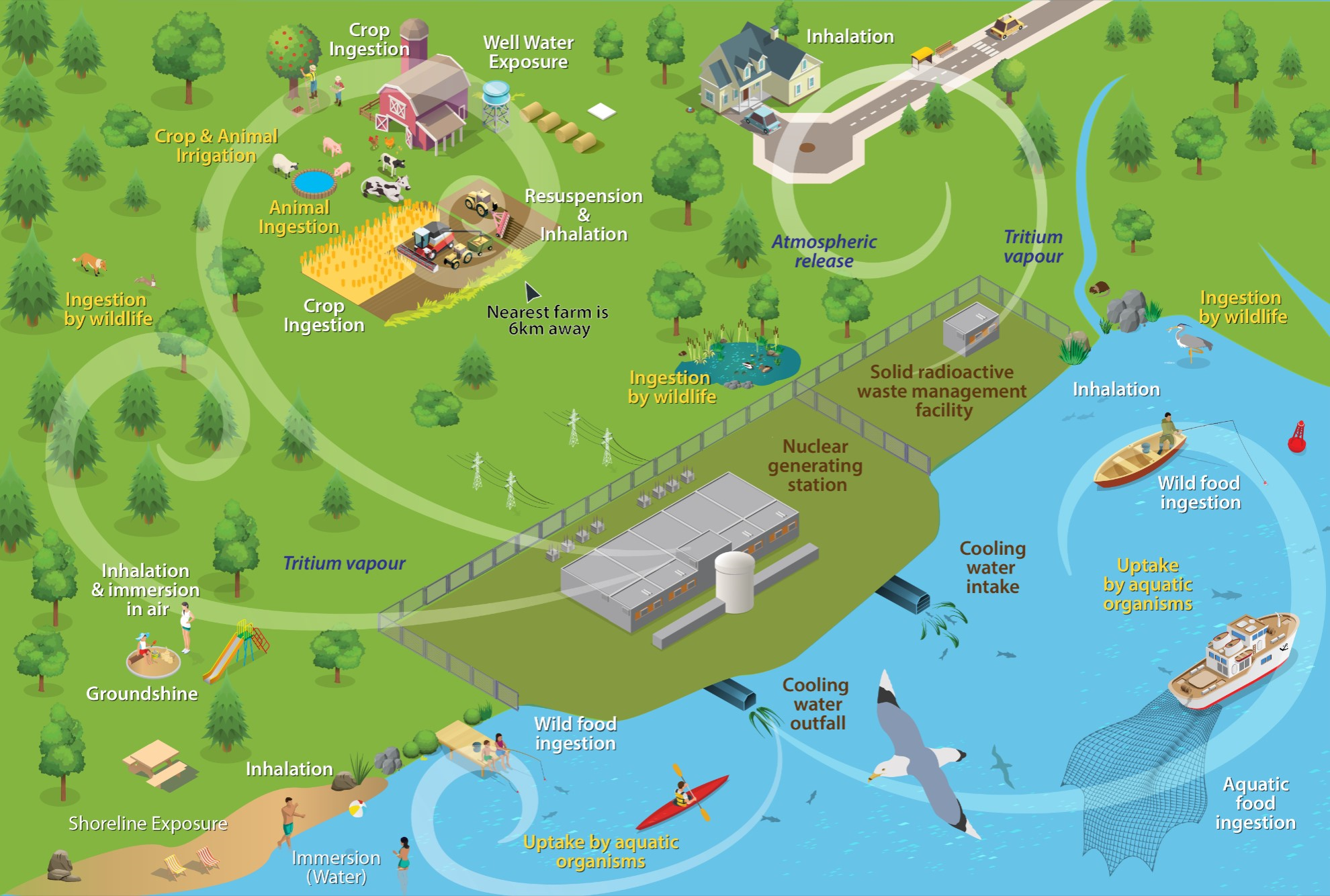 Conceptual exposure pathways for atmospheric, terrestrial, hydrogeological, and aquatic releases to the natural and human environment from the Pickering Nuclear Site.