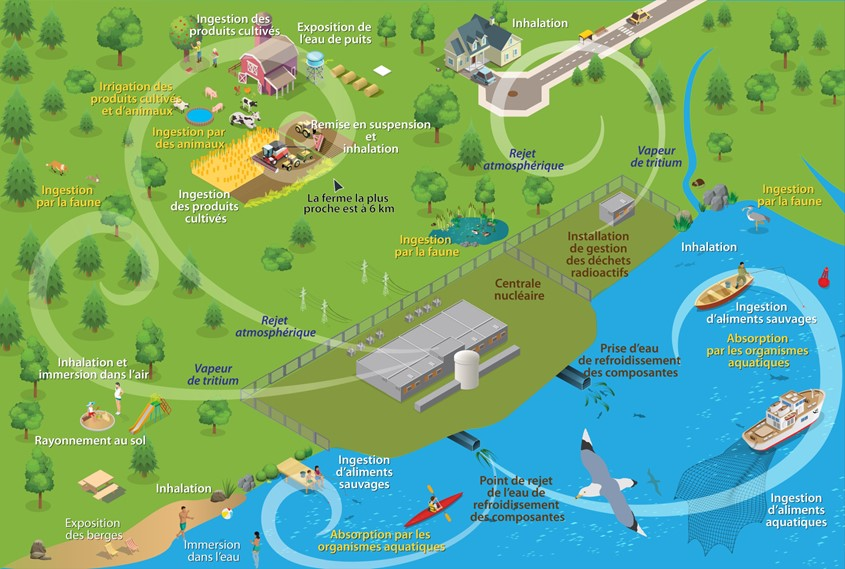 Voies d’exposition conceptuelles pour les rejets atmosphériques, terrestres, hydrogéologiques et aquatiques dans l’environnement naturel et humain provenant du complexe nucléaire de Pickering.