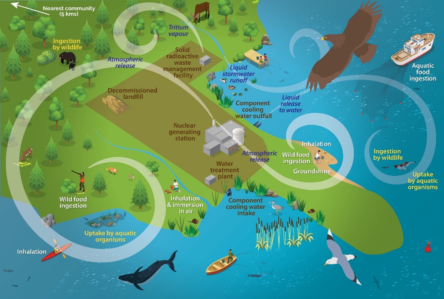 Potential exposure pathways for atmospheric and aquatic releases to the environment of a generic nuclear generating station.