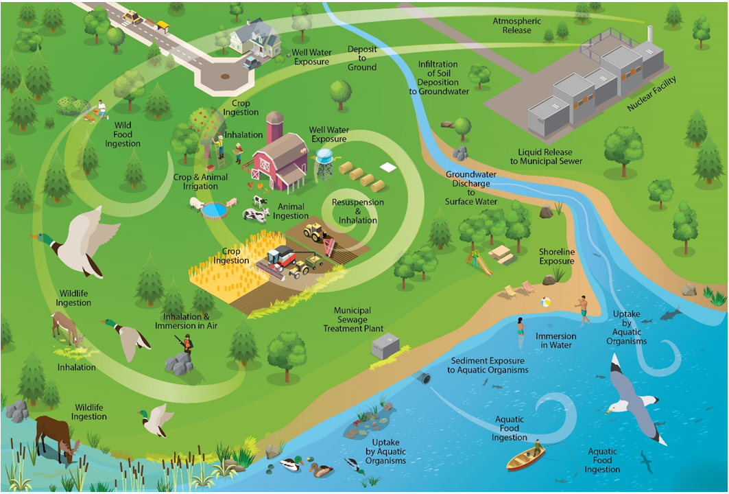 Overview of the interactions between the CNSC’s environmental protection review framework and the licensee’s environmental protection measures.