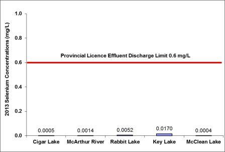 Figure 2-9: Annual average concentration of selenium in effluent released to the environment, 2013 