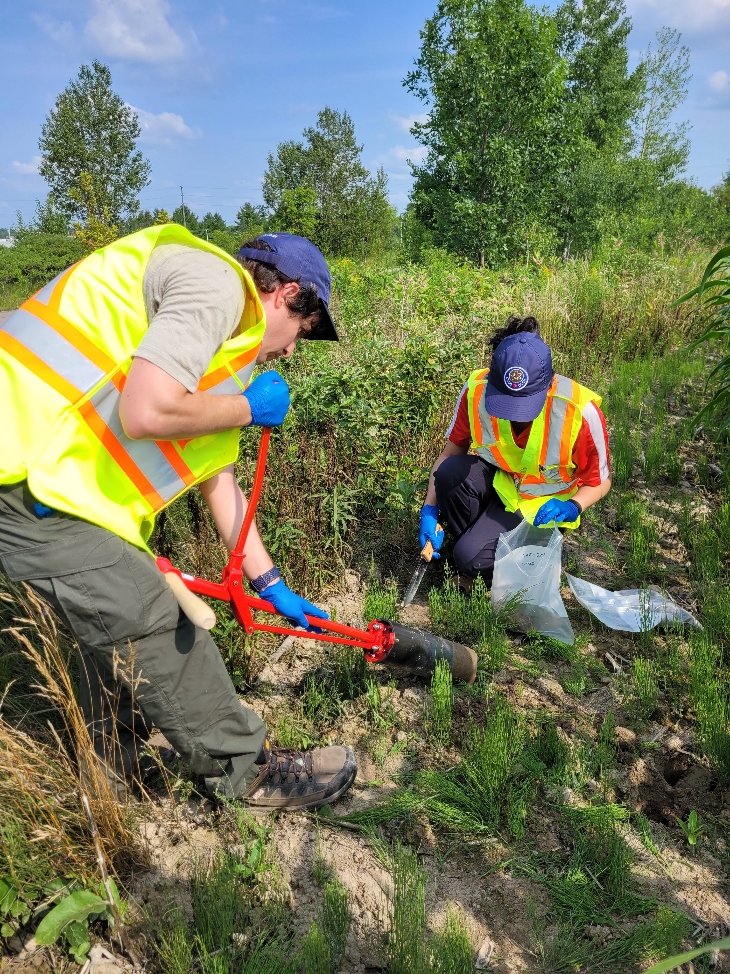 Photo d’employés de la CCSN qui prélèvent des échantillons de végétation pour la campagne d’échantillonnage du PISE en 2021 près de SRBT.
