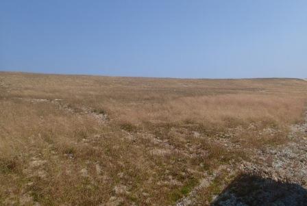 Figure 5-2: Contoured, covered and re-vegetated B-Zone waste rock pile