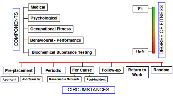 A conceptual framework of fitness for duty