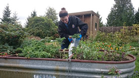 woman gardening