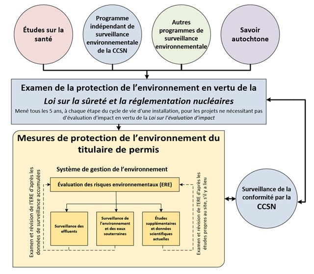 Ce schéma montre le cadre de l’évaluation de la protection de l’environnement (EPE). Les études sur la santé, le Programme indépendant de surveillance environnementale de la CCSN, les autres programmes de surveillance environnementale et le savoir autochtone contribuent tous à l’EPE en vertu de la Loi sur la sûreté et la réglementation nucléaires (LSRN). Une EPE en vertu de la LSRN est effectuée tous les 5 ans au cours de chaque phase du cycle de vie d’une installation pour les projets qui ne sont pas assujettis à une évaluation d’impact en vertu de la Loi sur l’évaluation d’impact. De cette EPE découlent les activités de surveillance de la conformité de la CCSN et les mesures de protection de l’environnement (PE) du titulaire de permis, qui éclairent également l’EPE. Les mesures de PE du titulaire de permis comprennent le système de gestion de l’environnement, qui comprend l’évaluation des risques environnementaux (ERE). L’ERE comprend la surveillance des effluents, la surveillance de l’environnement et des eaux souterraines, ainsi que les études supplémentaires et les données scientifiques actuelles. L’ERE est examinée et révisée en fonction des données de surveillance accumulées et de toute étude propre au site.