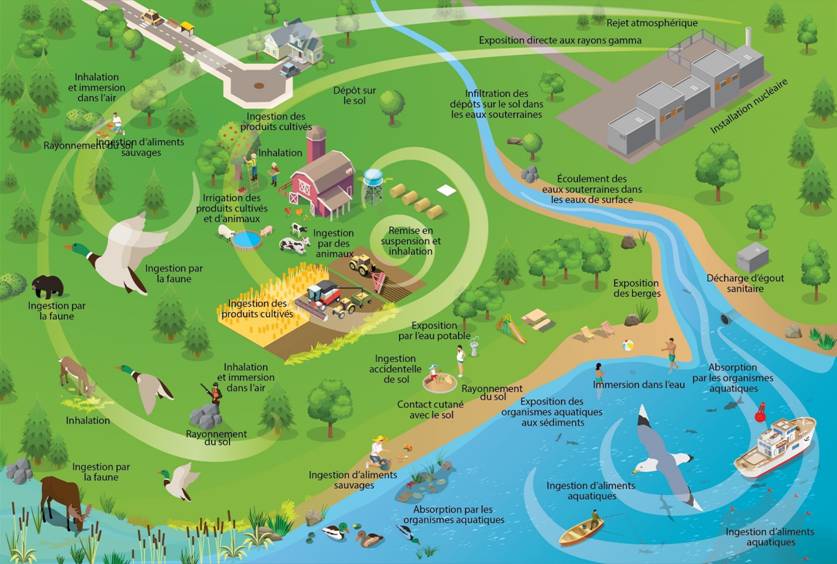 Modèle conceptuel des voies d’exposition potentielles pour les rejets atmosphériques et aquatiques (émissions atmosphériques et effluents dans l’eau) dans l’environnement autour de l’installation de Cameco Fuel Manufacturing.