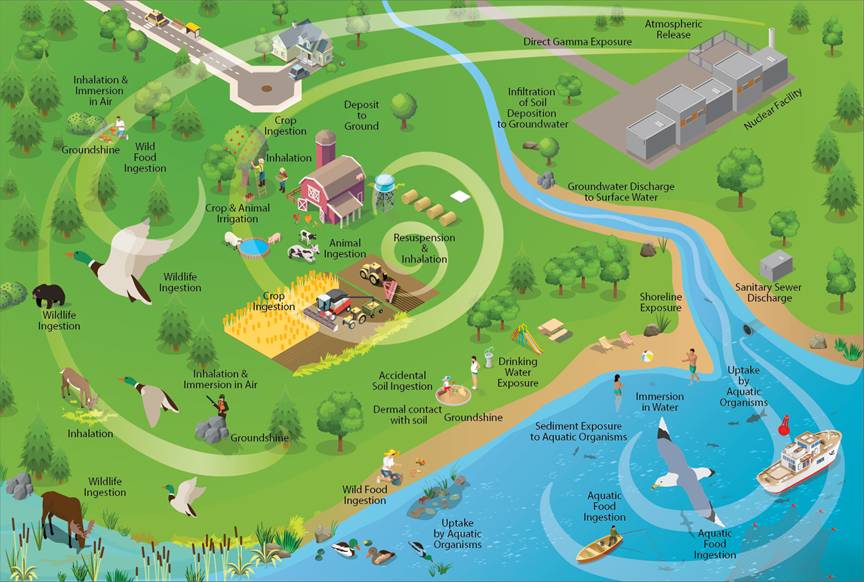 A workflow showing how health studies, the CNSC’s Independent Environmental Monitoring Program, other environment monitoring programs, and Indigenous knowledge feed into the environmental protection review under the Nuclear Safety and Control Act, followed by CNSC compliance monitoring, and which environmental protection measures licensees are responsible for under an environmental management system. The system includes effluent monitoring, environmental and groundwater monitoring, and supplementary studies and current science.