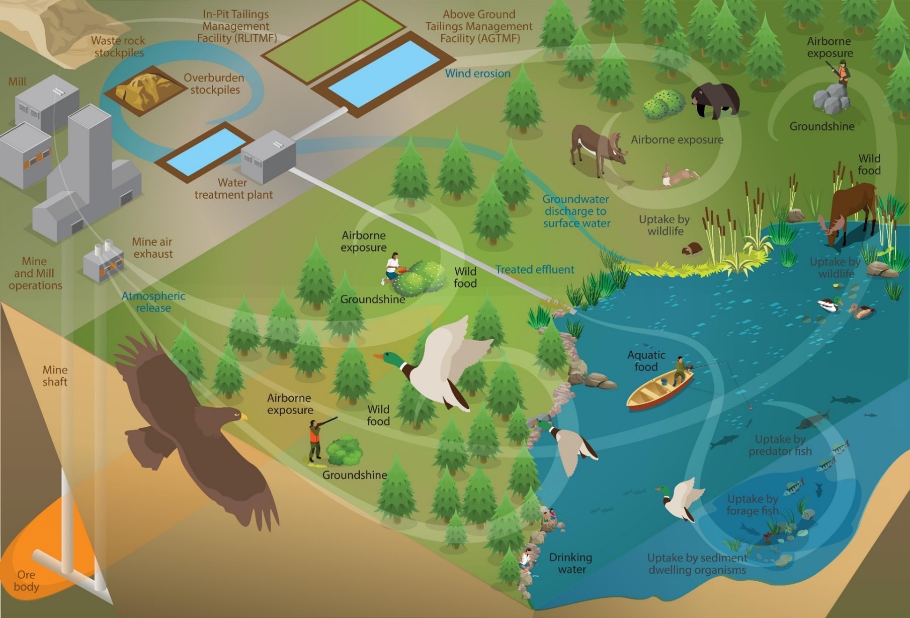 Conceptual exposure pathways for atmospheric and aquatic releases to the environment from the Rabbit Lake Operation.