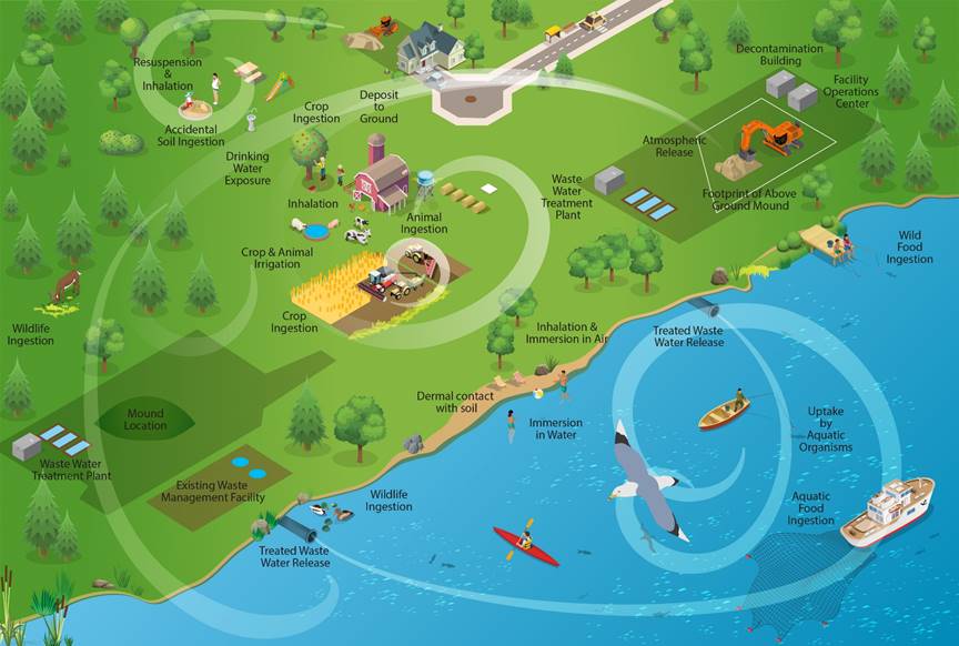 Graphic representation of potential exposure pathways of releases from the Port Hope Area Initiative sites to the environment.