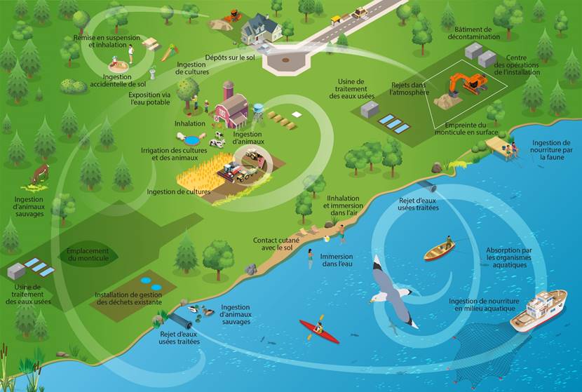 Représentation graphique des voies d’exposition potentielles pour les rejets dans l’environnement des sites de l’Initiative dans la région de Port Hope.