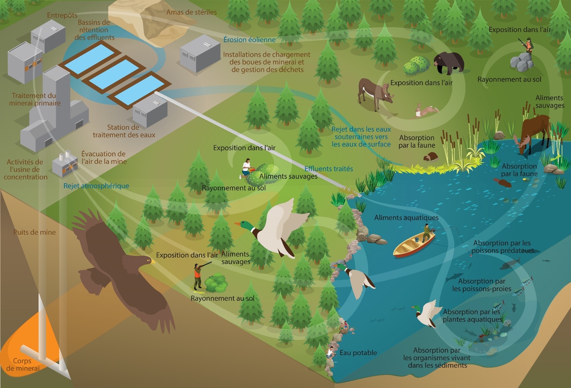 Voies d’exposition conceptuelles pour les rejets aquatiques et atmosphériques dans l’environnement provenant de l’établissement de Rabbit Lake