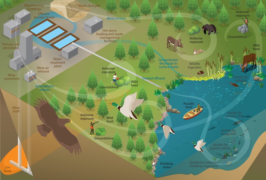 Conceptual exposure pathways for atmospheric and aquatic releases to the environment from the Rabbit Lake Operation.