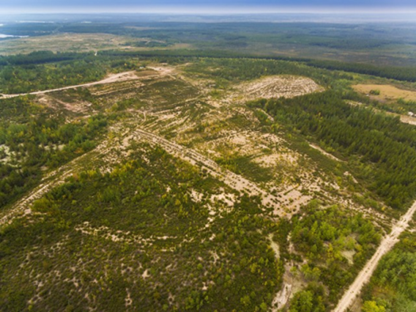 Image of Cluff Lake mill area in 2017 with established vegetation