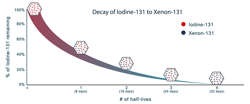 This image shows a graph demonstrating the decay of Iodine-131. The graph shows the percent of Iodine-131 decreasing with each half-life (8 days each).