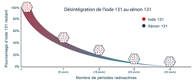 Cette image présente dans un graphique la désintégration de l’iode 131. Le graphique montre que le pourcentage d’iode 131 diminue en fonction de chaque demi-vie (8 jours chacun).
