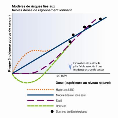 Modèles de risques radiologiques