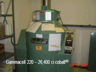 Irradiateur Gammacell au cobalt 60