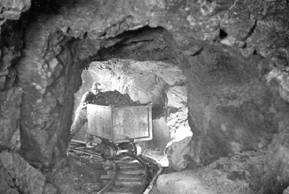 Miner hauling a car of uranium-bearing ore