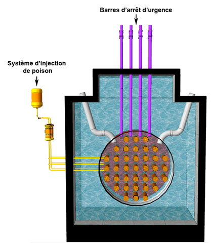 Vue en coupe d'un réacteur CANDU illustrant les systèmes d'injection de poisson et de barres d'arrêt d'urgence.