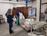 La photo montre une technologue effectuant une scintigraphie osseuse sur un cheval dans le cadre d’une procédure de médecine nucléaire vétérinaire. La photo provient de la CCSN.