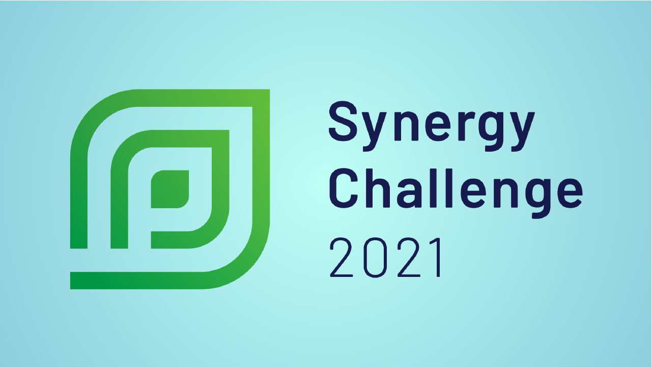 Synergy Challenge 2021