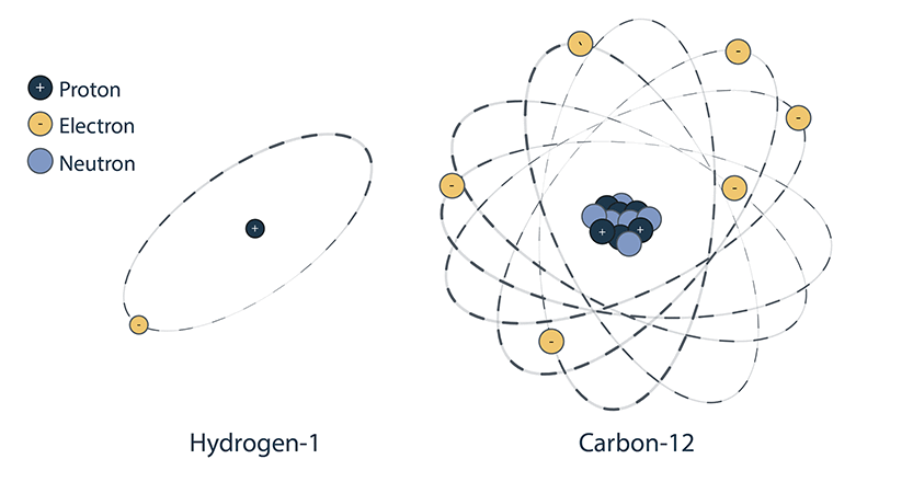This image shows the atomic structure of Hydrogen-1 and Carbon-12.