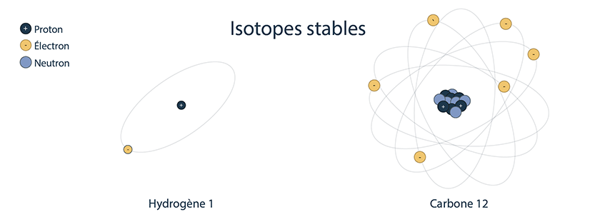 Cette image présente la structure atomique des isotopes stables Hydrogène 1 et Carbone 12.