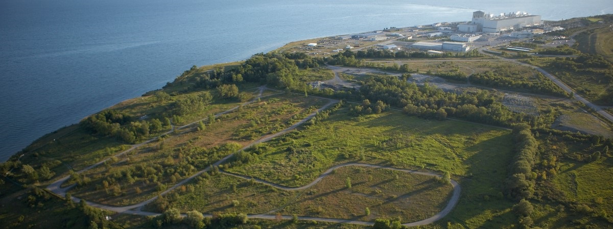 A body of water is on the left. On the right is some greenery with pathways and some buildings in the distance